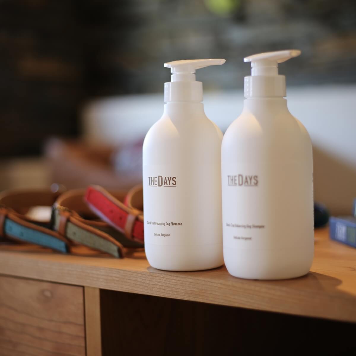 柴犬,thedays,ケア用品