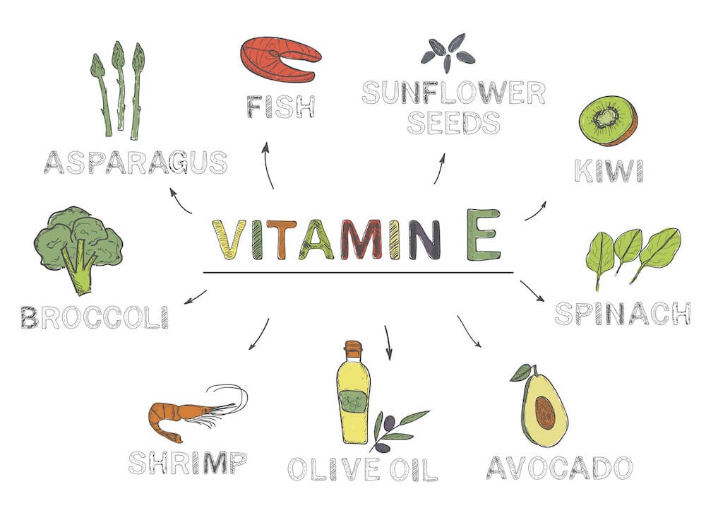 柴犬,認知症,サプリメント