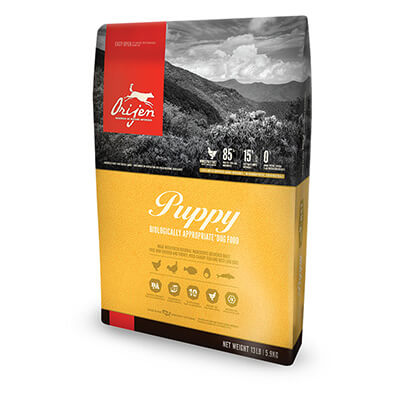 オリジン　パピー