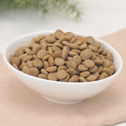 シニア用食事療法食 セラピューティックフォーミュラ「シニアサポート」