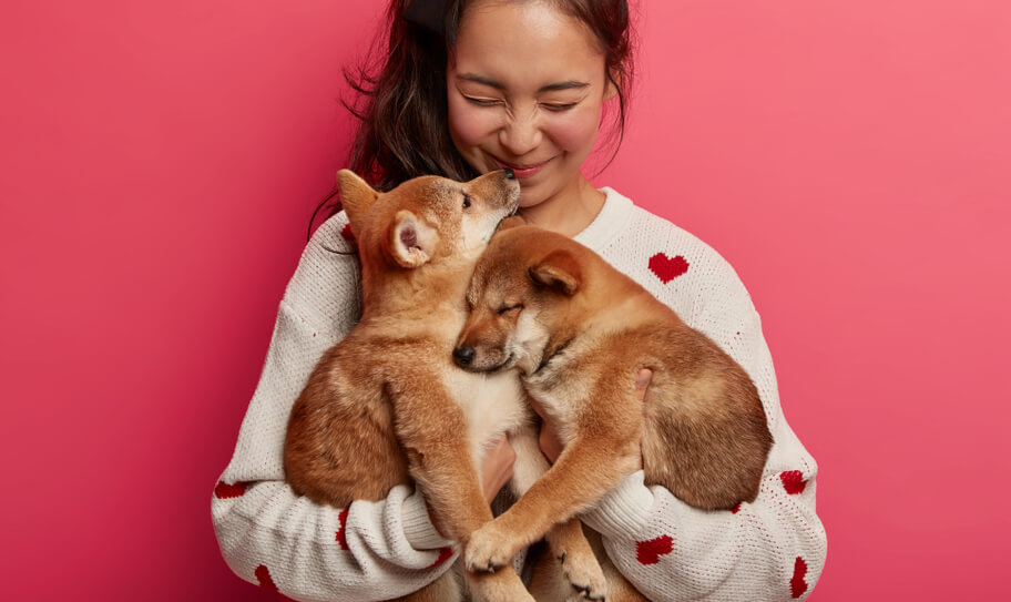 柴犬ライフ.カタカナTシャツ