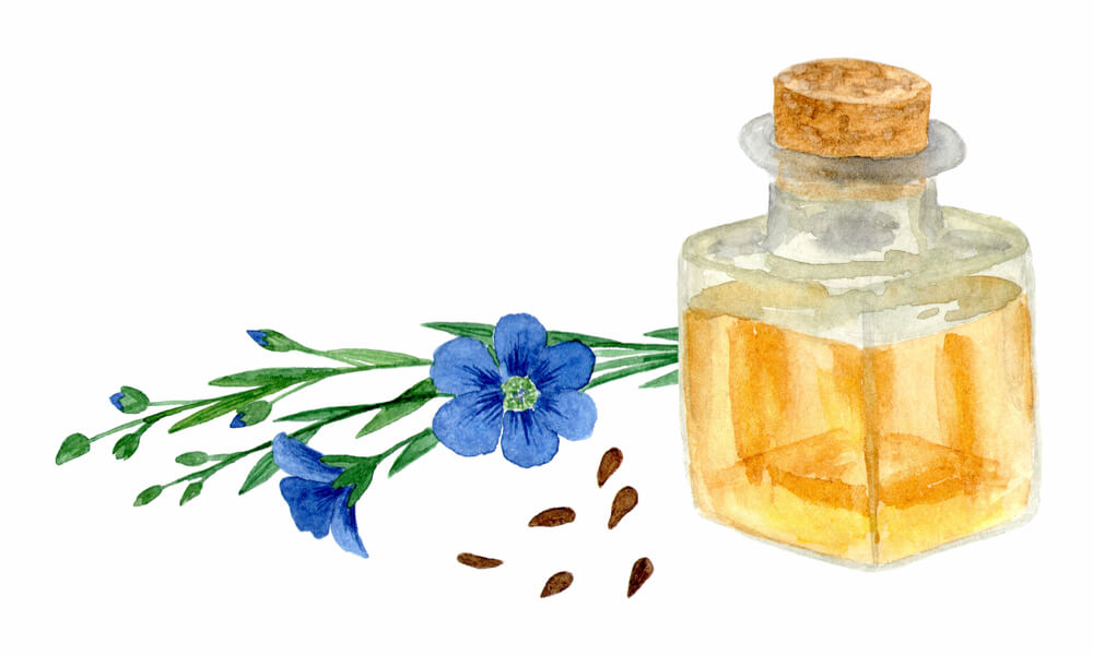 柴犬,認知症,サプリメント