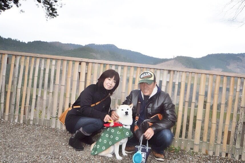 柴犬とその家族