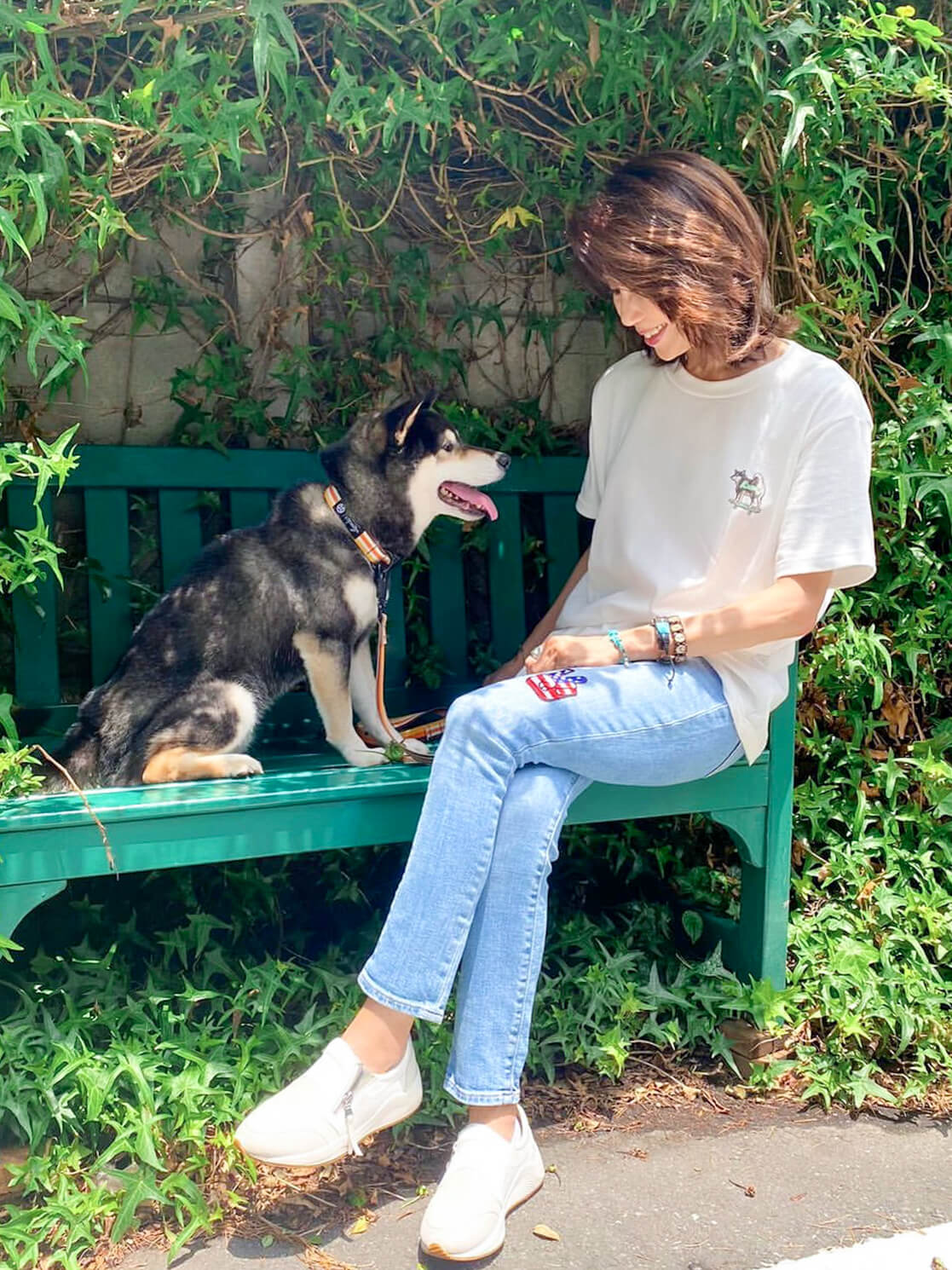 柴犬,ワンポイントTシャツ