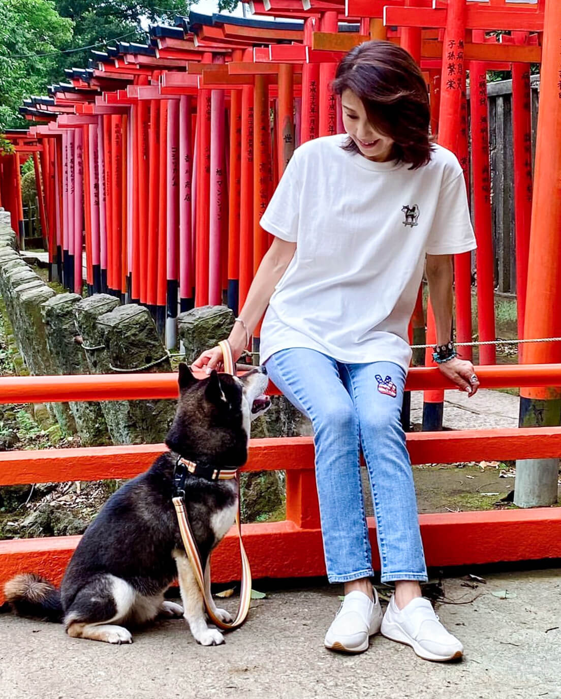 柴犬,ワンポイントTシャツ