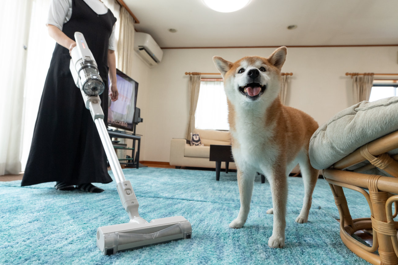 柴犬,パナソニック,掃除機,からまないブラシ