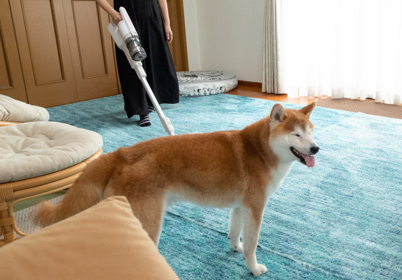 柴犬,パナソニック,掃除機,からまないブラシ