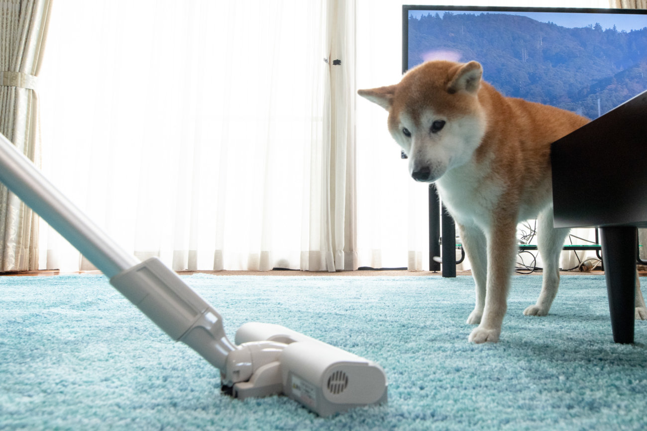 柴犬,パナソニック,掃除機,からまないブラシ