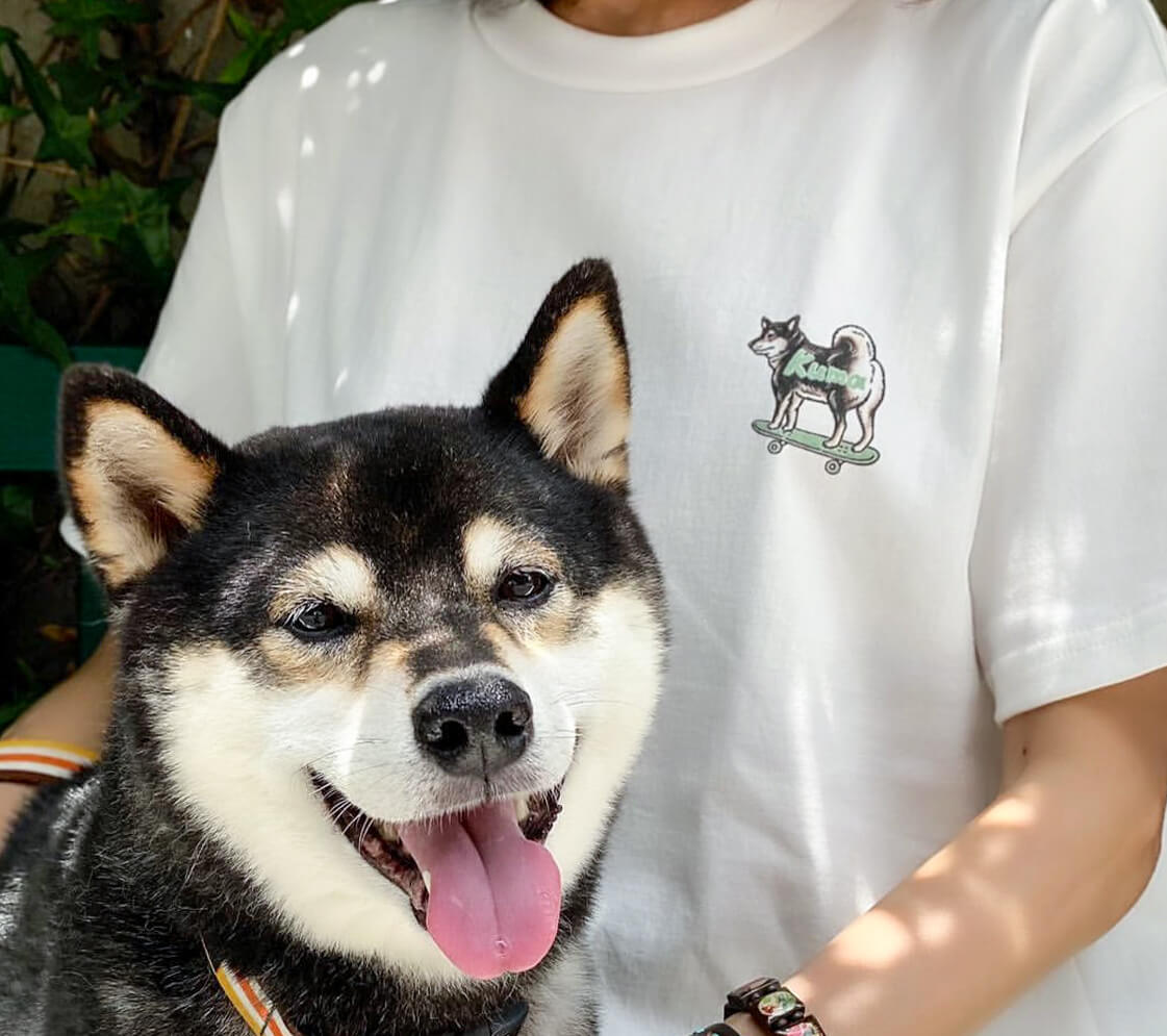 柴犬,ワンポイントTシャツ