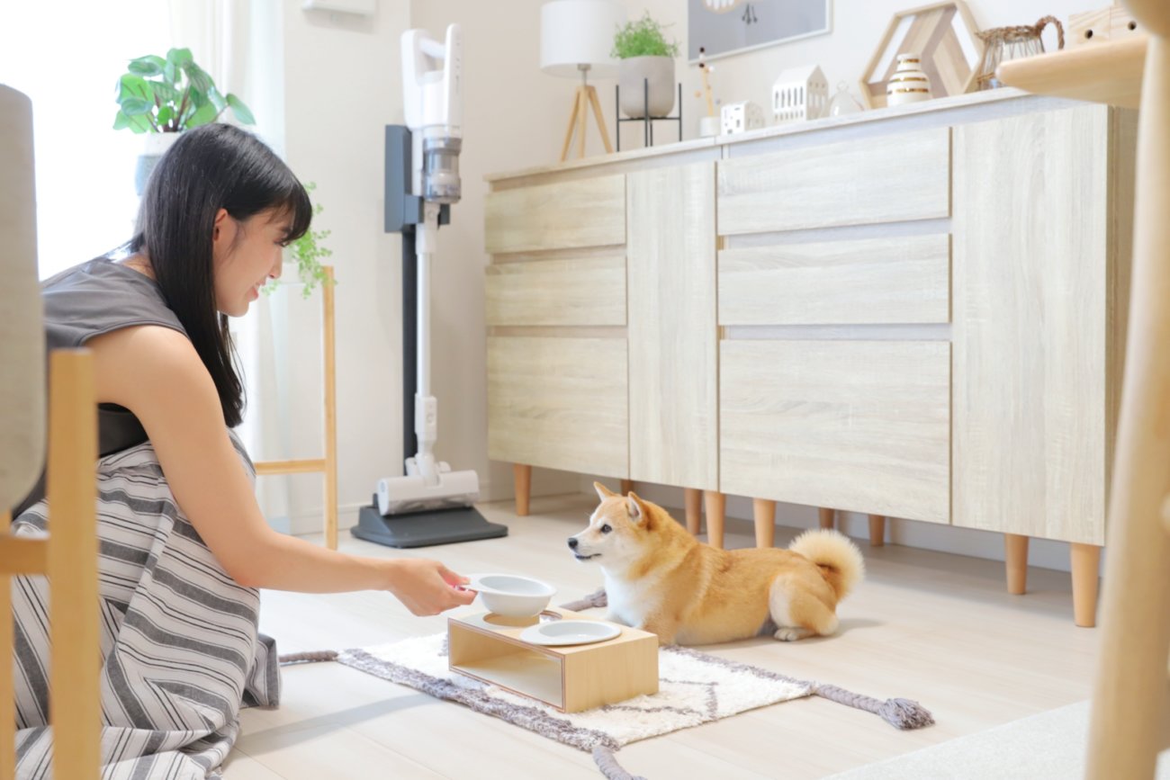 柴犬,パナソニック,掃除機,からまないブラシ
