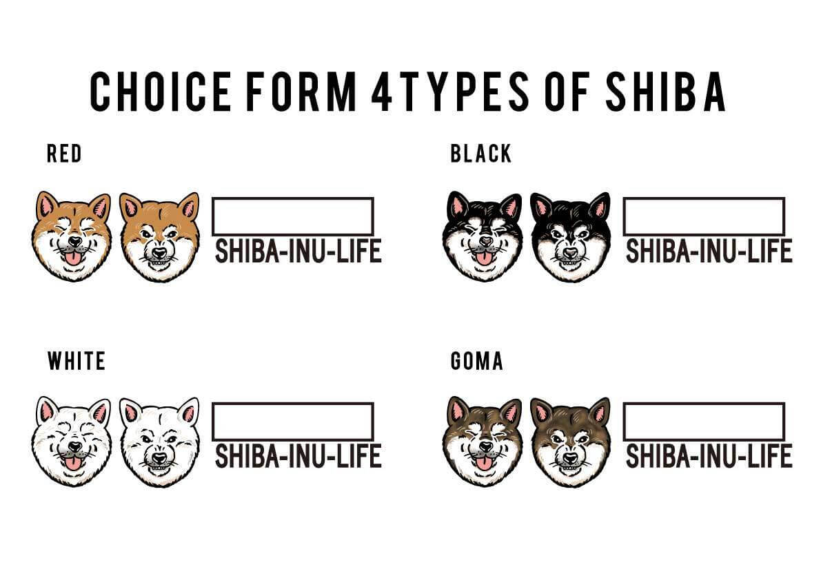 柴犬,Tシャツ,カスタムオーダー