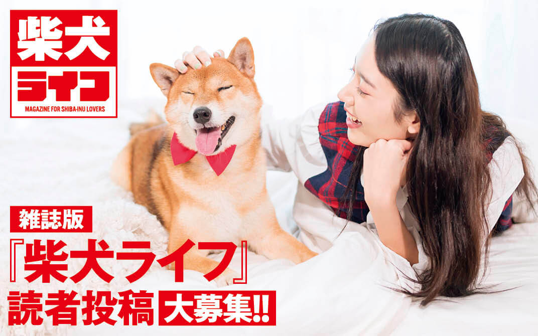 柴犬ライフ,読者投稿