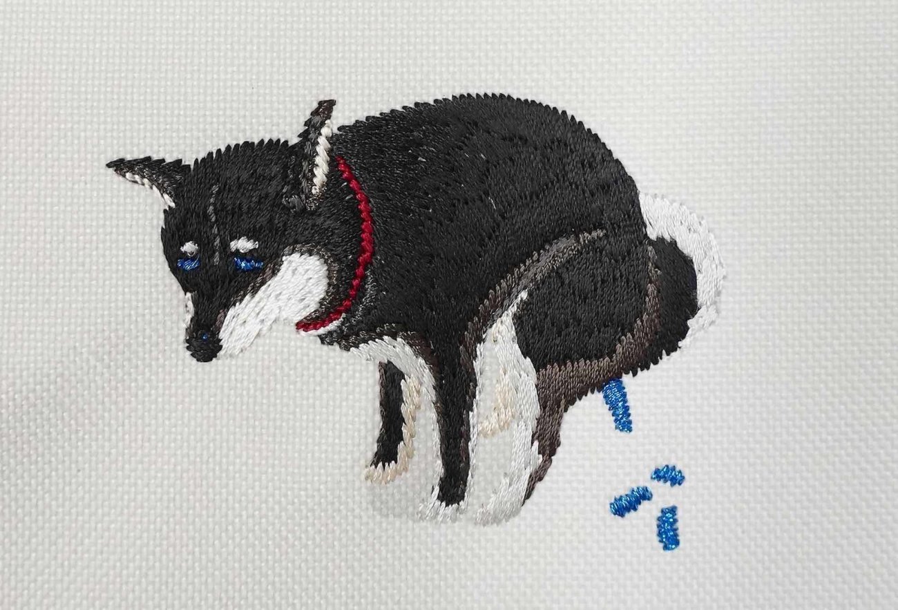 柴犬ライフストア,pegion,ボディバッグ