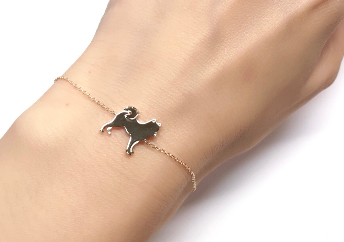 柴犬,アクセサリー,アニマーレ