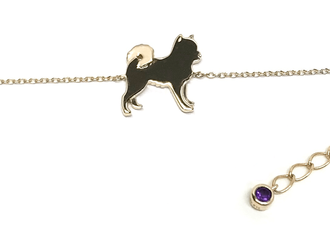 柴犬,アクセサリー,アニマーレ