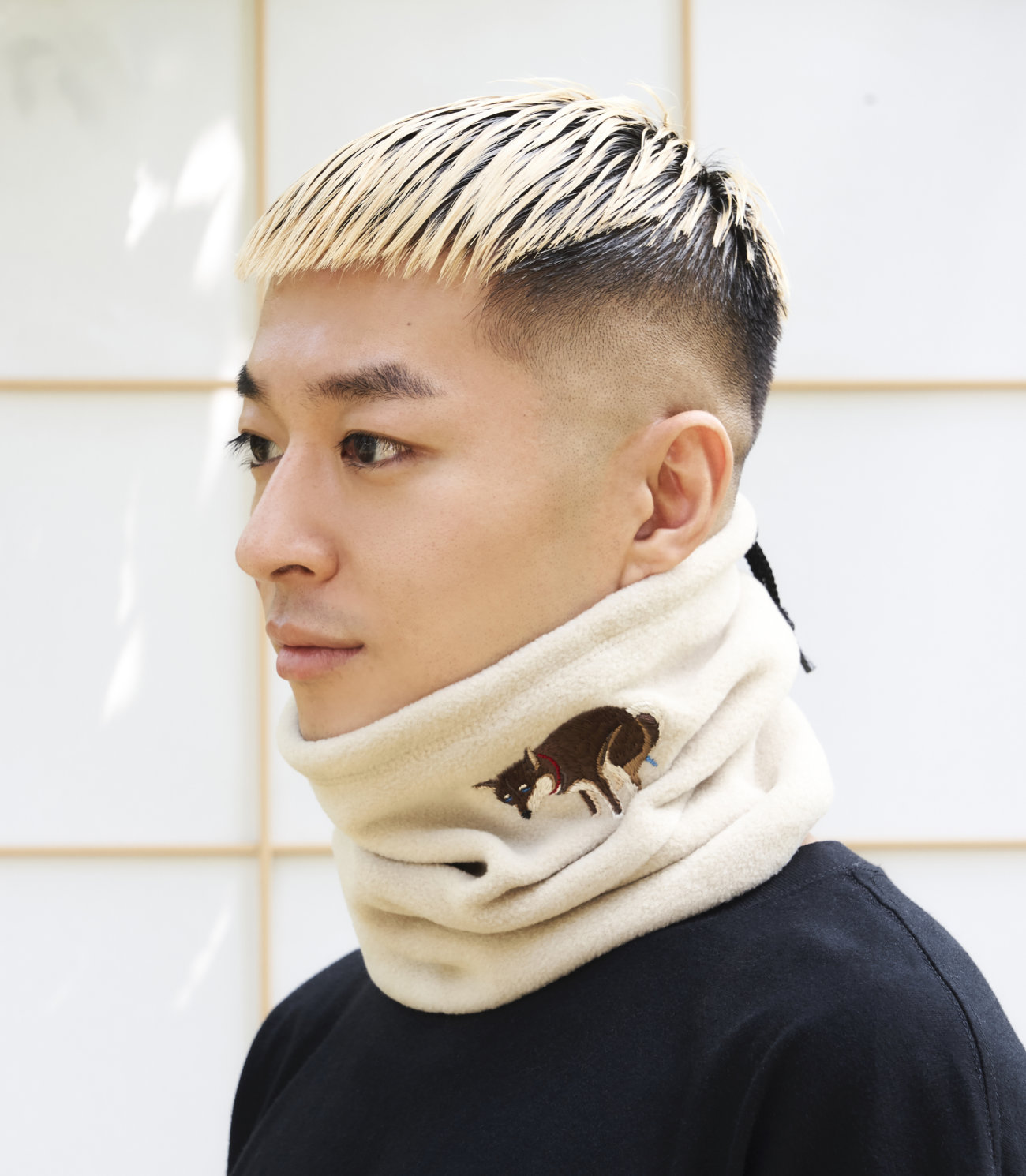 柴犬ライフ,PEGION