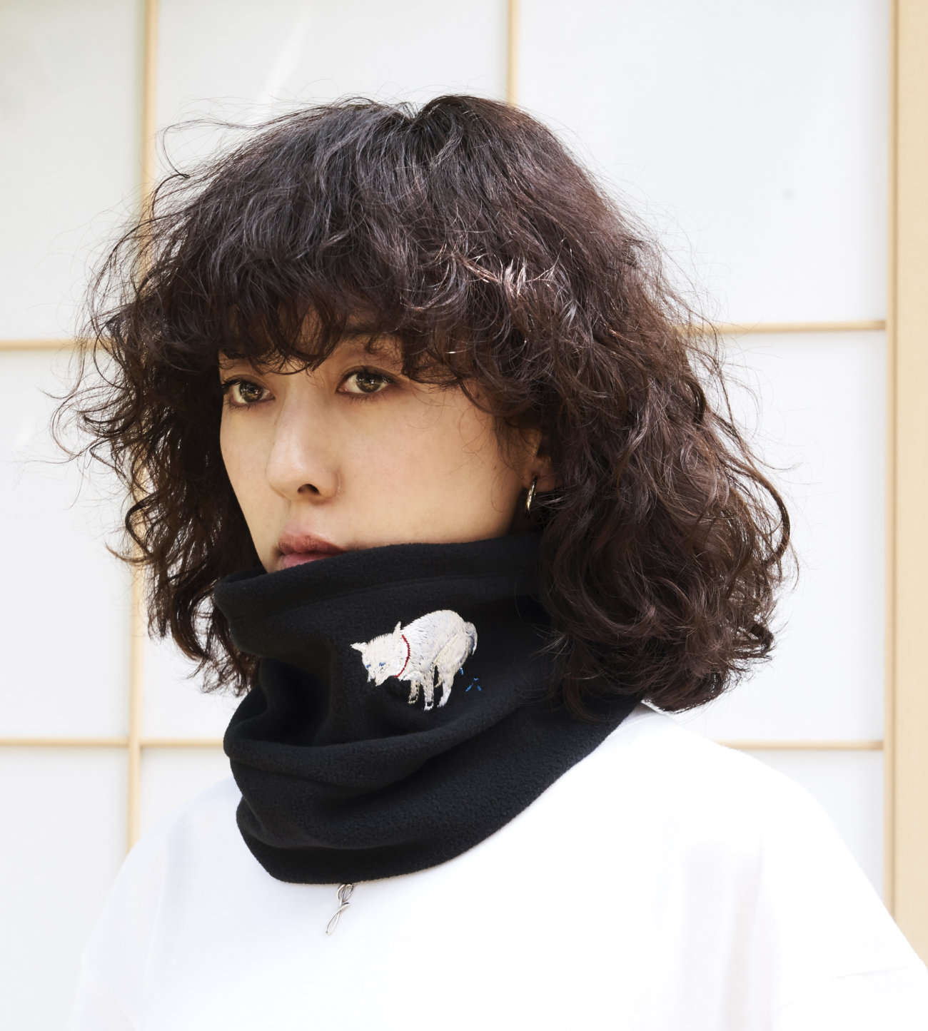 柴犬ライフ,PEGION