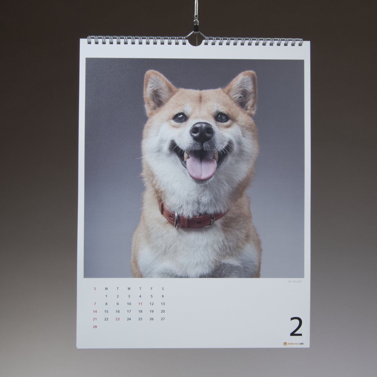 柴犬,カレンダー,内山慎吾