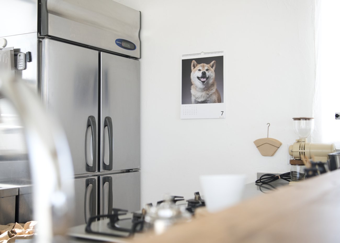 柴犬,カレンダー,内山慎吾