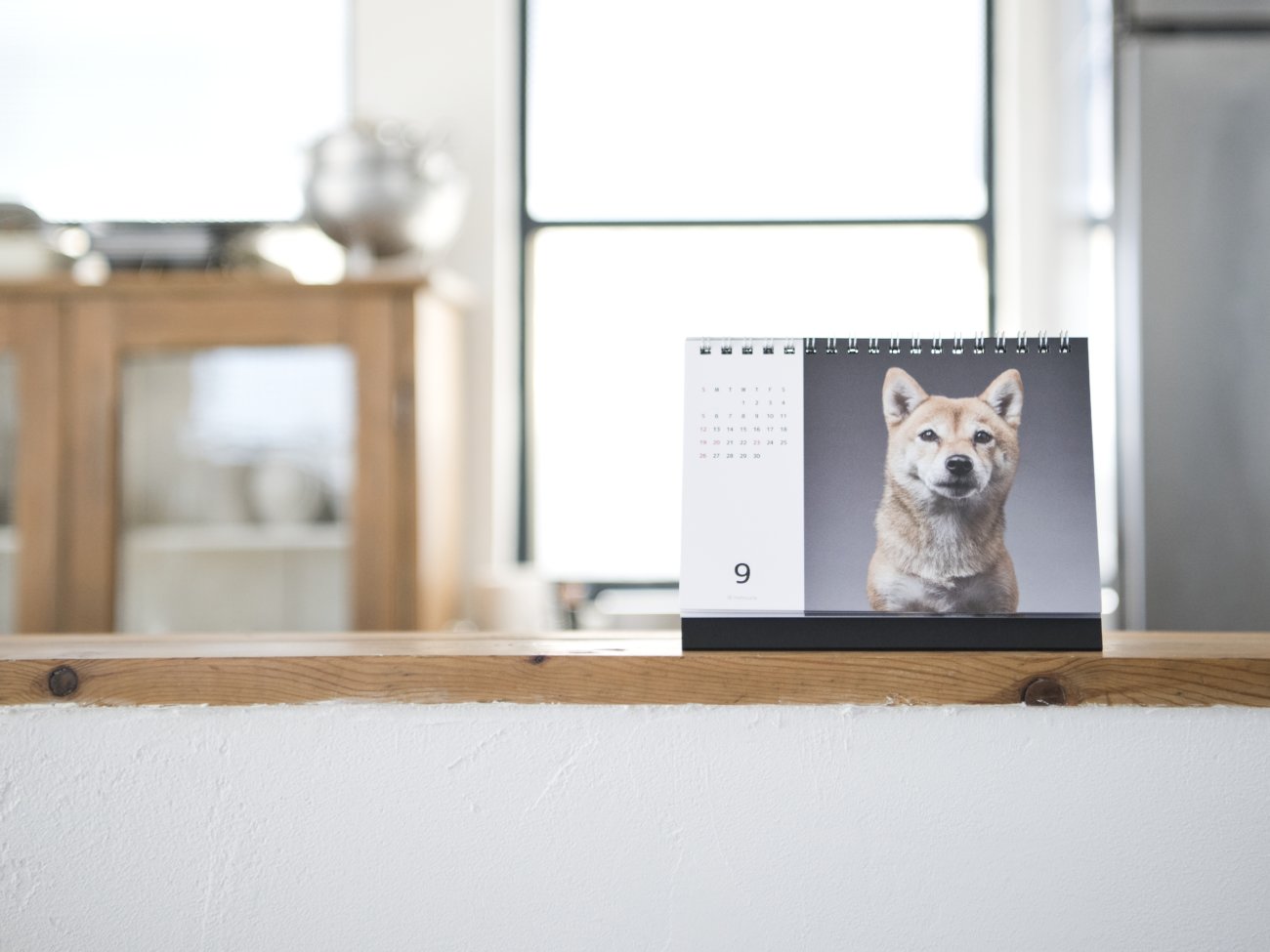 柴犬,カレンダー,内山慎吾