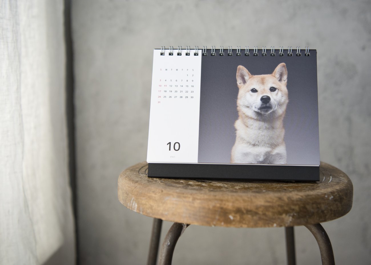 柴犬,カレンダー,内山慎吾
