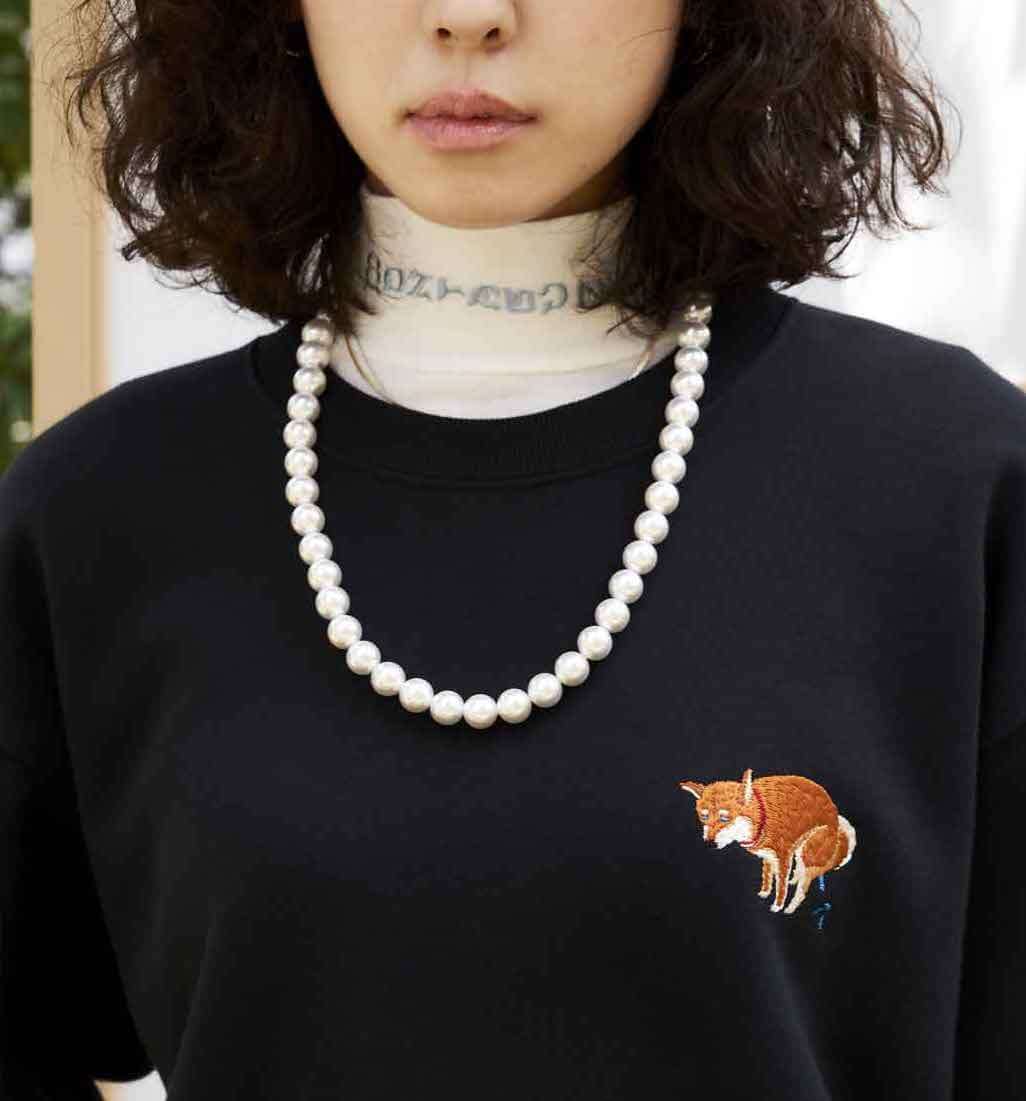 柴犬ライフ,PEGION