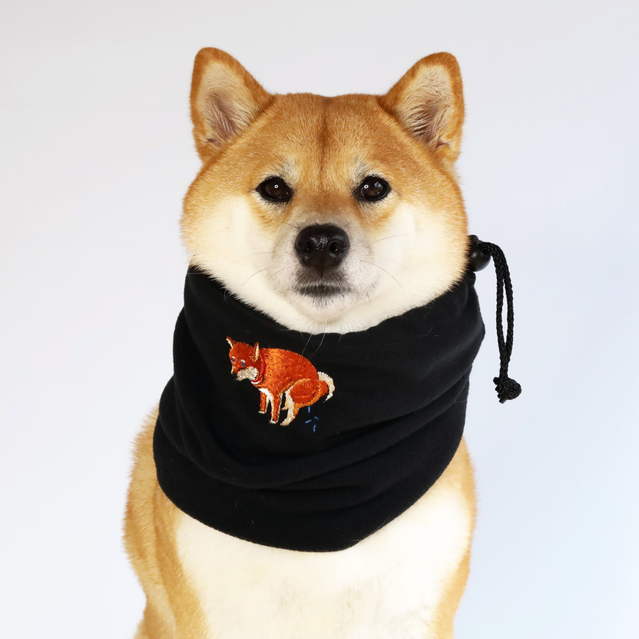 柴犬ライフ,PEGION