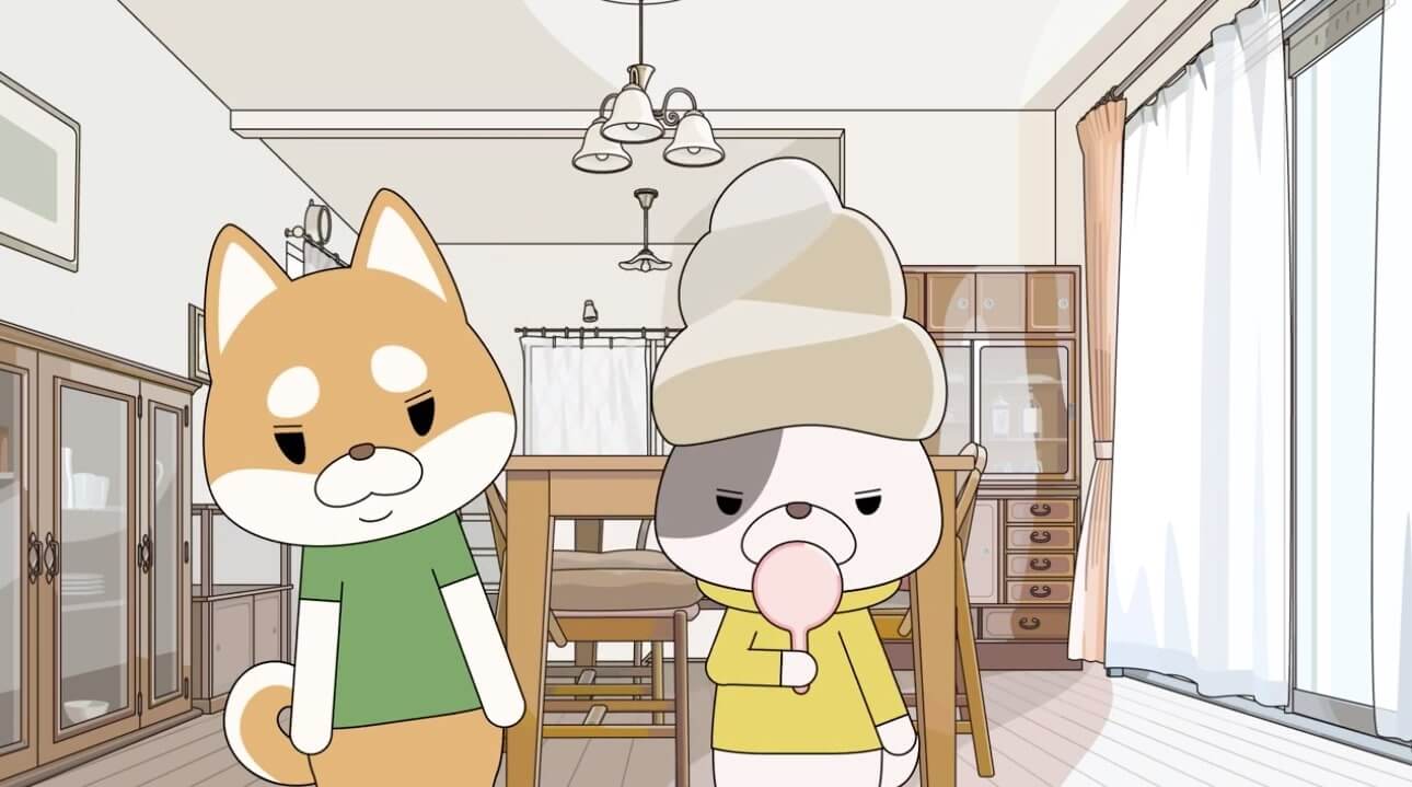 柴犬,動画,イッヌドットライフ