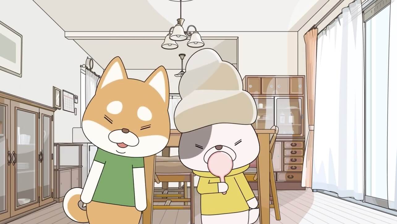 柴犬,動画,イッヌドットライフ