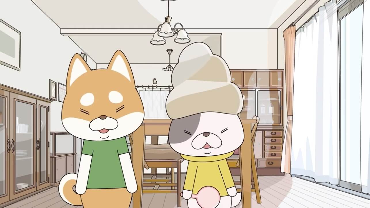 柴犬,動画,イッヌドットライフ