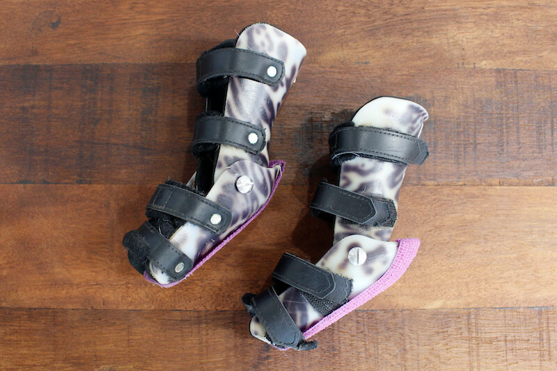 歩行をサポートする犬用装具