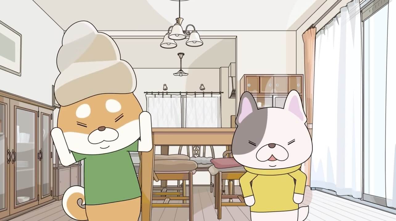 柴犬,動画,イッヌドットライフ