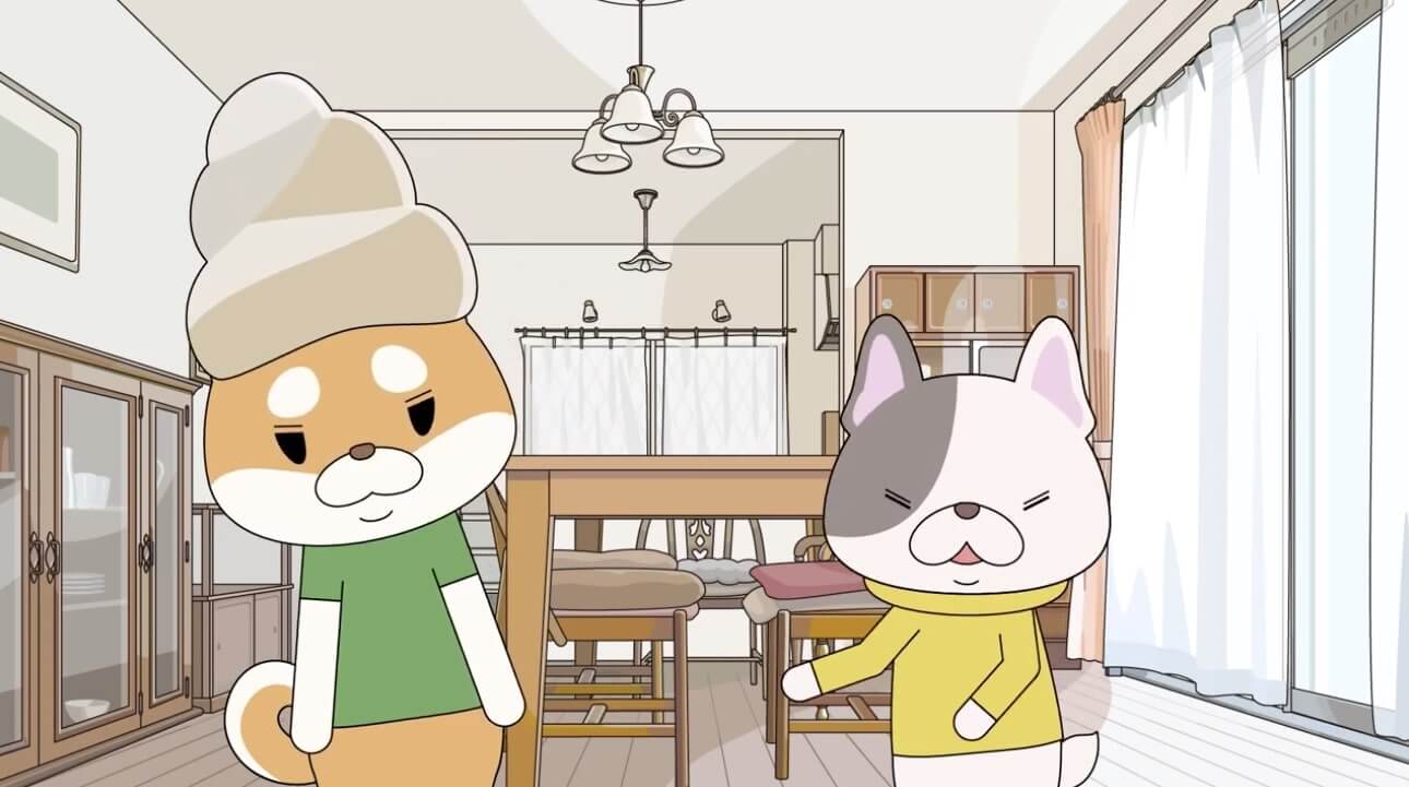 柴犬,動画,イッヌドットライフ