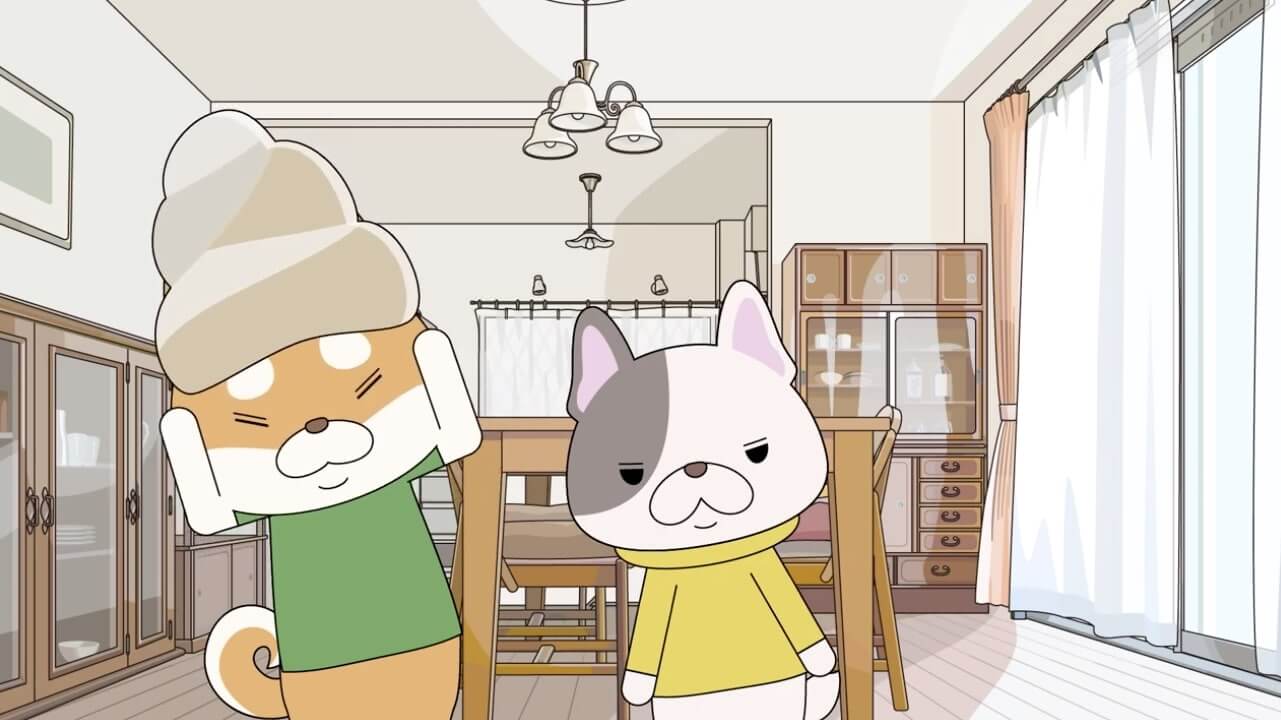 柴犬,動画,イッヌドットライフ