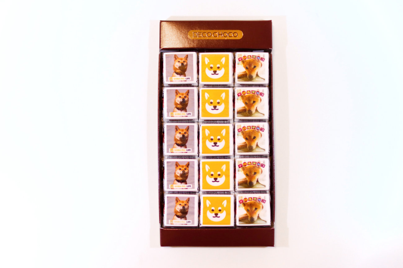 柴犬ライフ,,チロルチョコ,decoチョコ