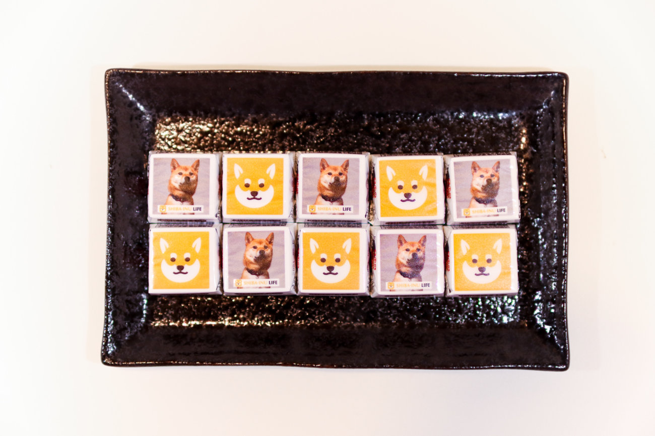 柴犬ライフ,,チロルチョコ,decoチョコ