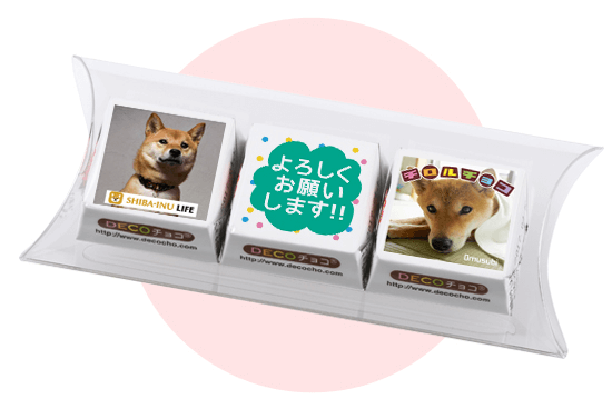 柴犬ライフ,チロルチョコ,decoチョコ