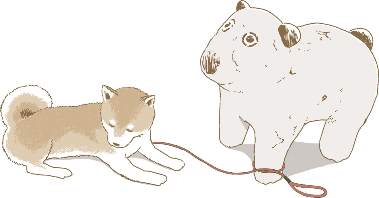 柴犬ライフ,今日のさんぽんた,小学館