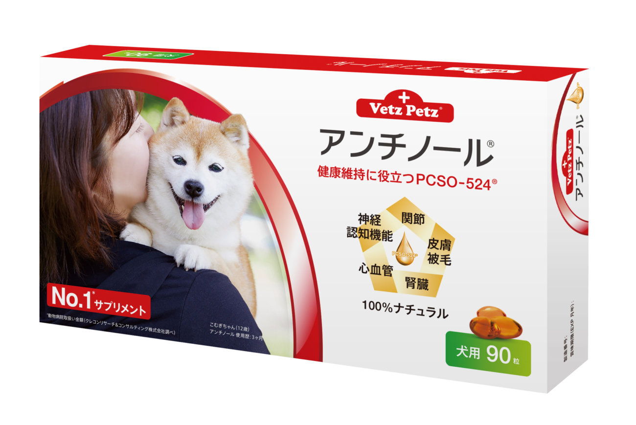 柴犬,アンチノール