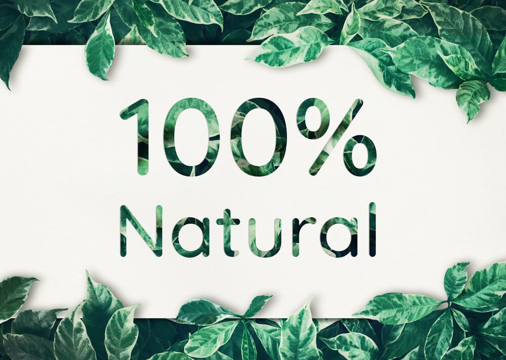 柴犬,アンチノール