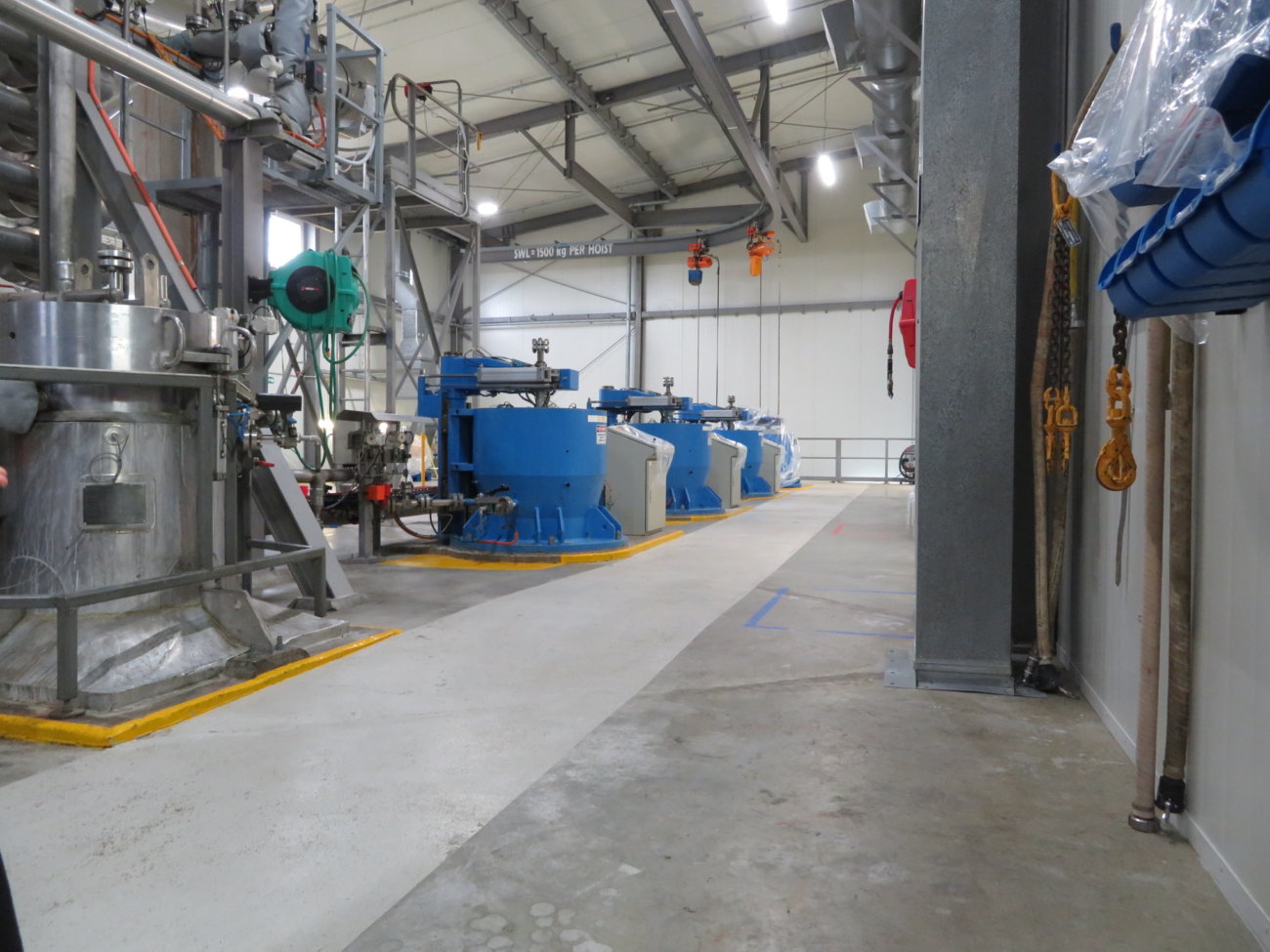 柴犬,アンチノール