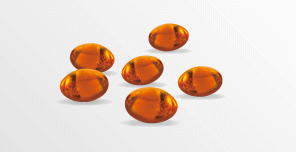 柴犬,アンチノール