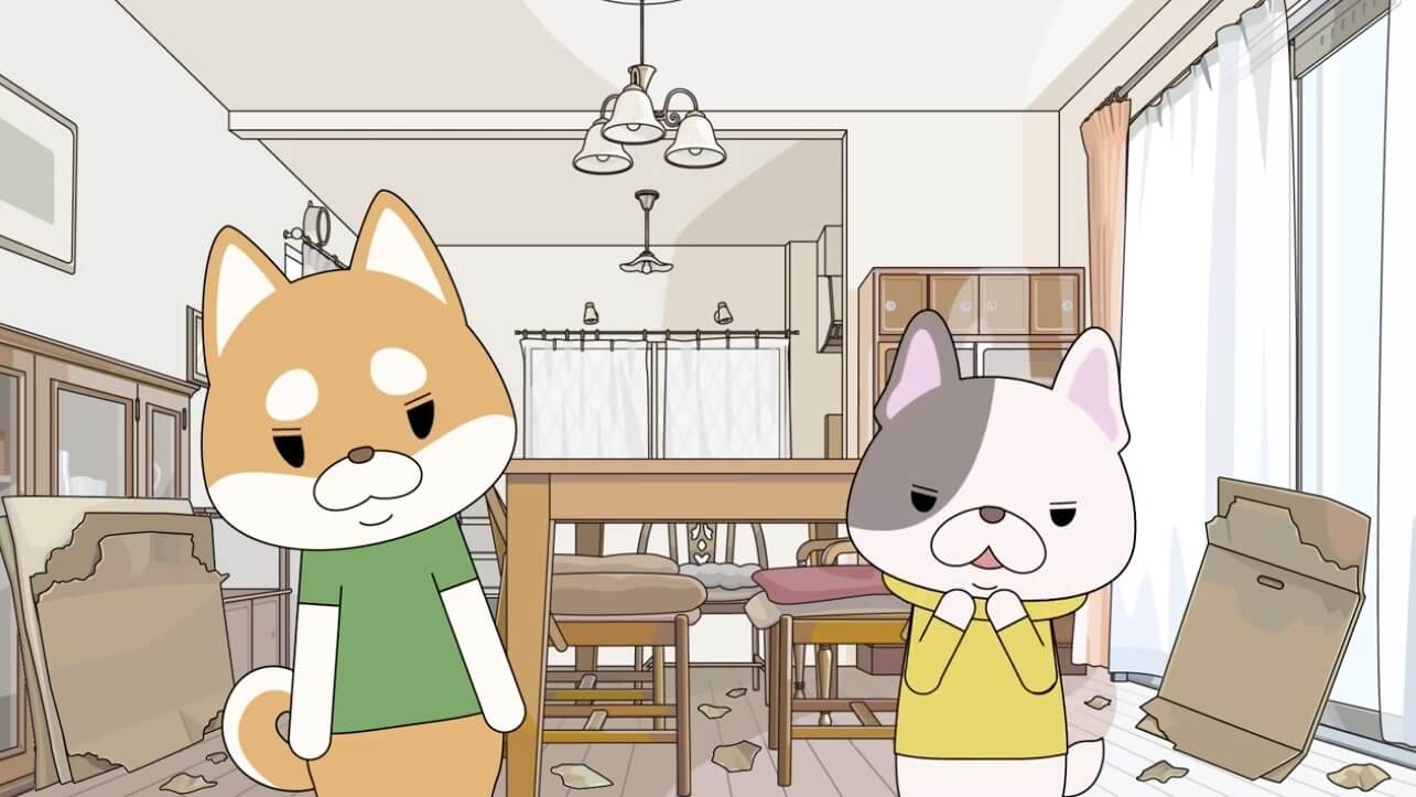 柴犬,動画,イッヌドットライフ