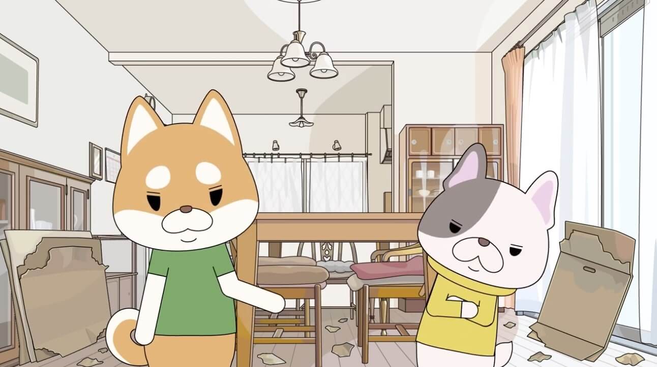 柴犬,動画,イッヌドットライフ