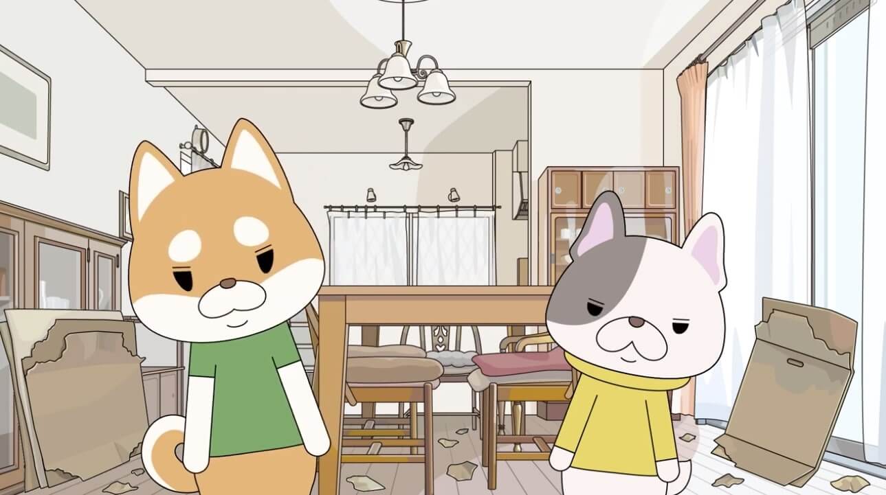 柴犬,動画,イッヌドットライフ