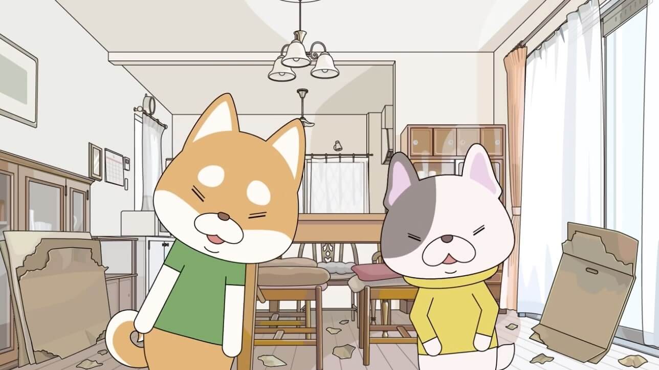 柴犬,動画,イッヌドットライフ