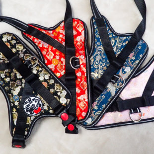 柴犬用ハーネス 煌～KIRAMEKI～