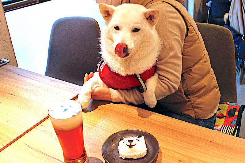 柴犬とオーナー