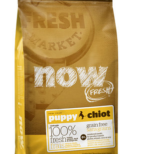 パピー用[レギュラー粒]