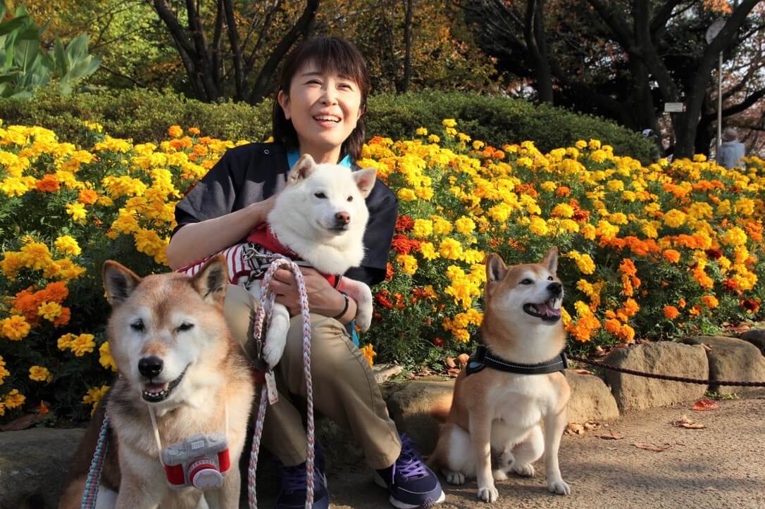 「Hello doggie ひだまりシニア部」の老犬介護士、平端弘美さん。